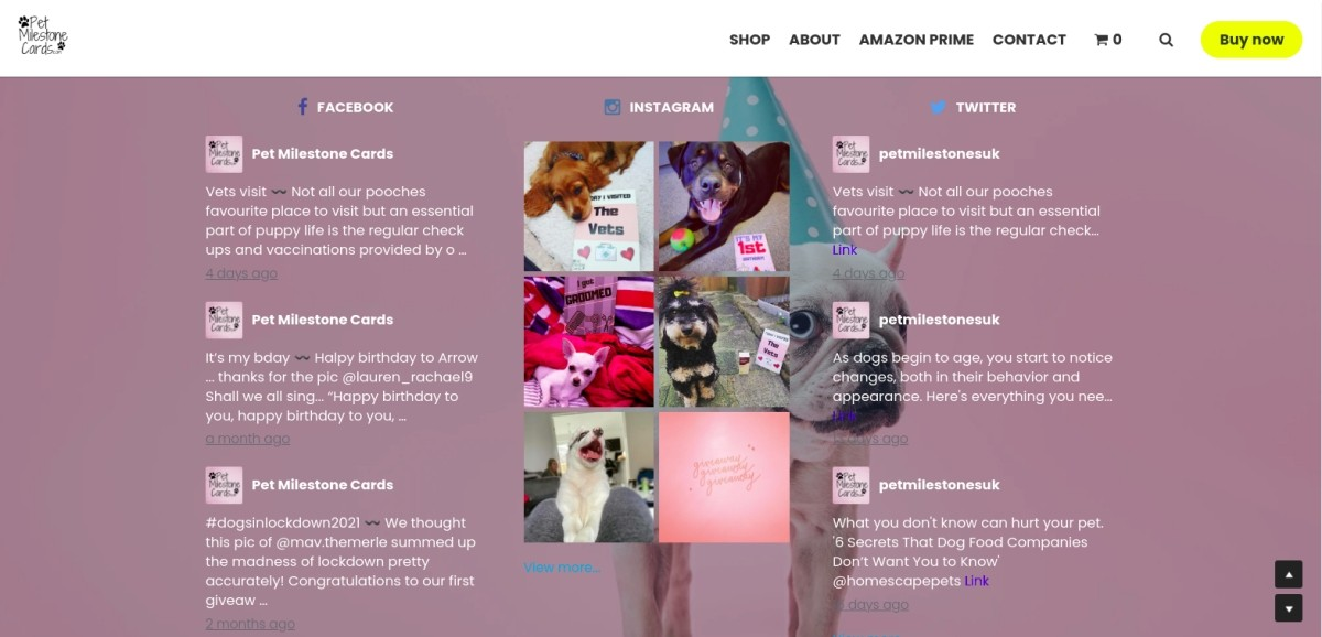 stp marketing stp marketing